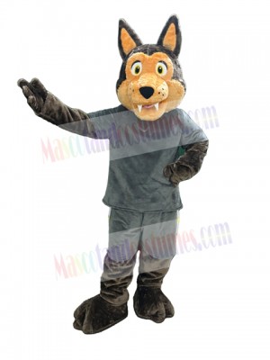 Coyote mascot costume