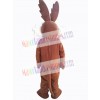 Coyote mascot costume