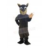 Coyote mascot costume