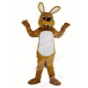 Kody Koyote Coyote Wolf Mascot Costume Animal	