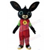 Rabbit mascot costume
