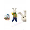 Bunny Rabbit mascot costume