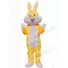 Easter Bunny Rabbit mascot costume