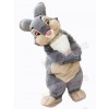 Easter Bunny Rabbit mascot costume