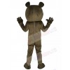 Grizzly Bear mascot costume