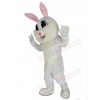 Easter Bunny mascot costume