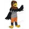 Hawk mascot costume