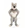 Grey Wolf with Big Nose Mascot Costumes Cartoon	