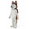 Dog mascot costume