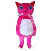 Cat mascot costume