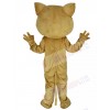 Cat mascot costume