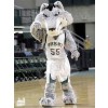 Wolf mascot costume