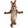 Wolf mascot costume