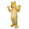 Wolf mascot costume
