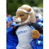 Tiger mascot costume