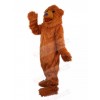Bear mascot costume
