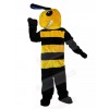 Bee mascot costume