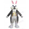 Easter Bunny mascot costume