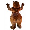 Bear mascot costume