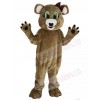 Bear mascot costume