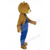 Bear mascot costume