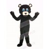 Black Bear Mascot Costume Adult