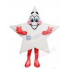 Star mascot costume