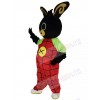 Easter Bunny Rabbit mascot costume