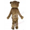 Teddy Bear mascot costume