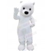 Bear mascot costume
