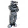 Bear mascot costume