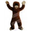 Man mascot costume
