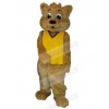 Bear mascot costume