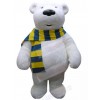 Bear mascot costume