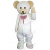 Bear mascot costume