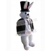 Easter Bunny Rabbit mascot costume
