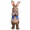 Easter Bunny Rabbit mascot costume