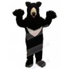 Bear mascot costume