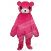 Bear mascot costume