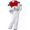 Bear mascot costume