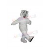 Bear mascot costume