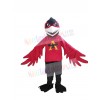 Raven mascot costume
