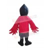 Raven mascot costume