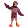 Cardinal Bird mascot costume