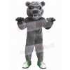 Bear mascot costume