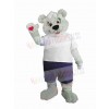 Bear mascot costume