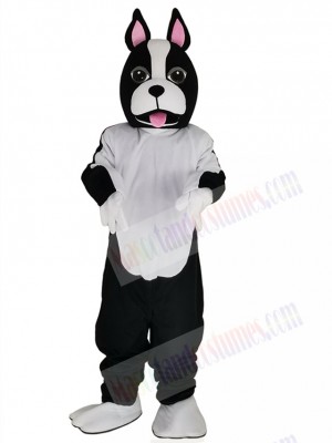 Schwarz-weißes Terri-B.-Terrier-Maskottchenkostüm für Hunde – Tierkostüm