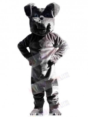 Strong Gray Dog Mascot Costume Animal