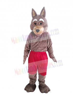 Braunes Kojoten-Maskottchenkostüm (Tier)
