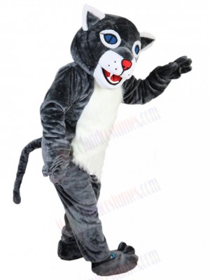 Cheerful Grey Wildcat Mascot Costume Animal with Blue Eyes